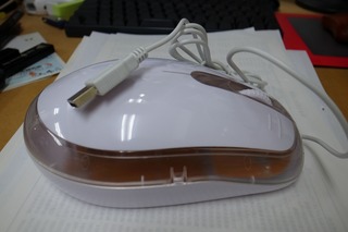 mouse7.jpg