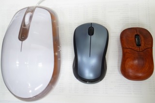 mouse8.jpg